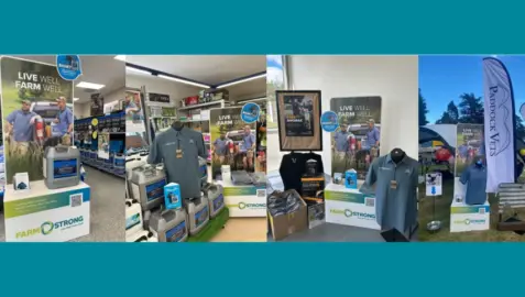 Boehringer promotion
