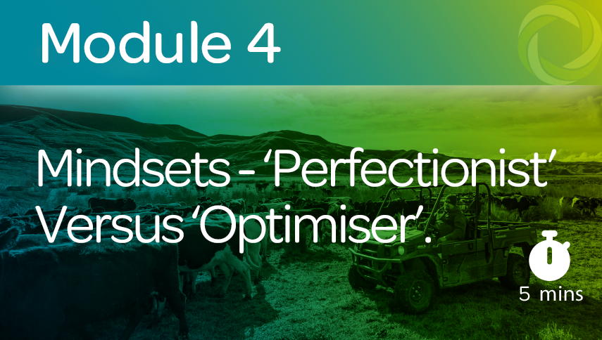 Module 4 - Mindsets Perfectionist versus Optimiser